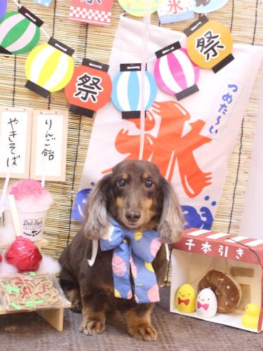 20240716ここあちゃん